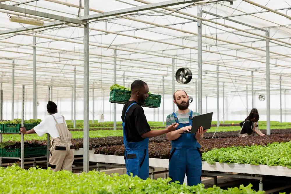 How to start agriculture business in the UAE
