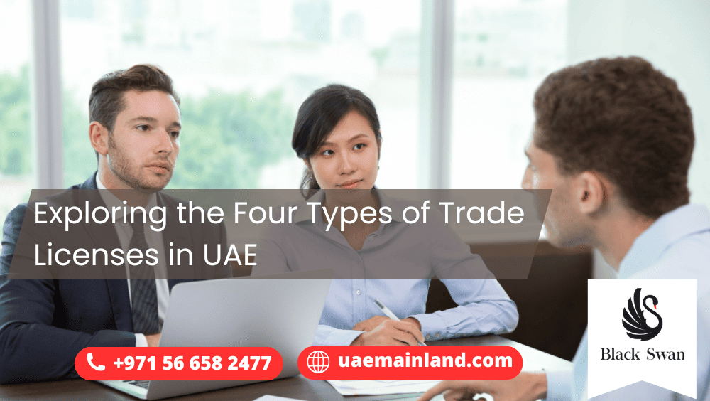 Exploring the Four Types of Trade Licenses in UAE
